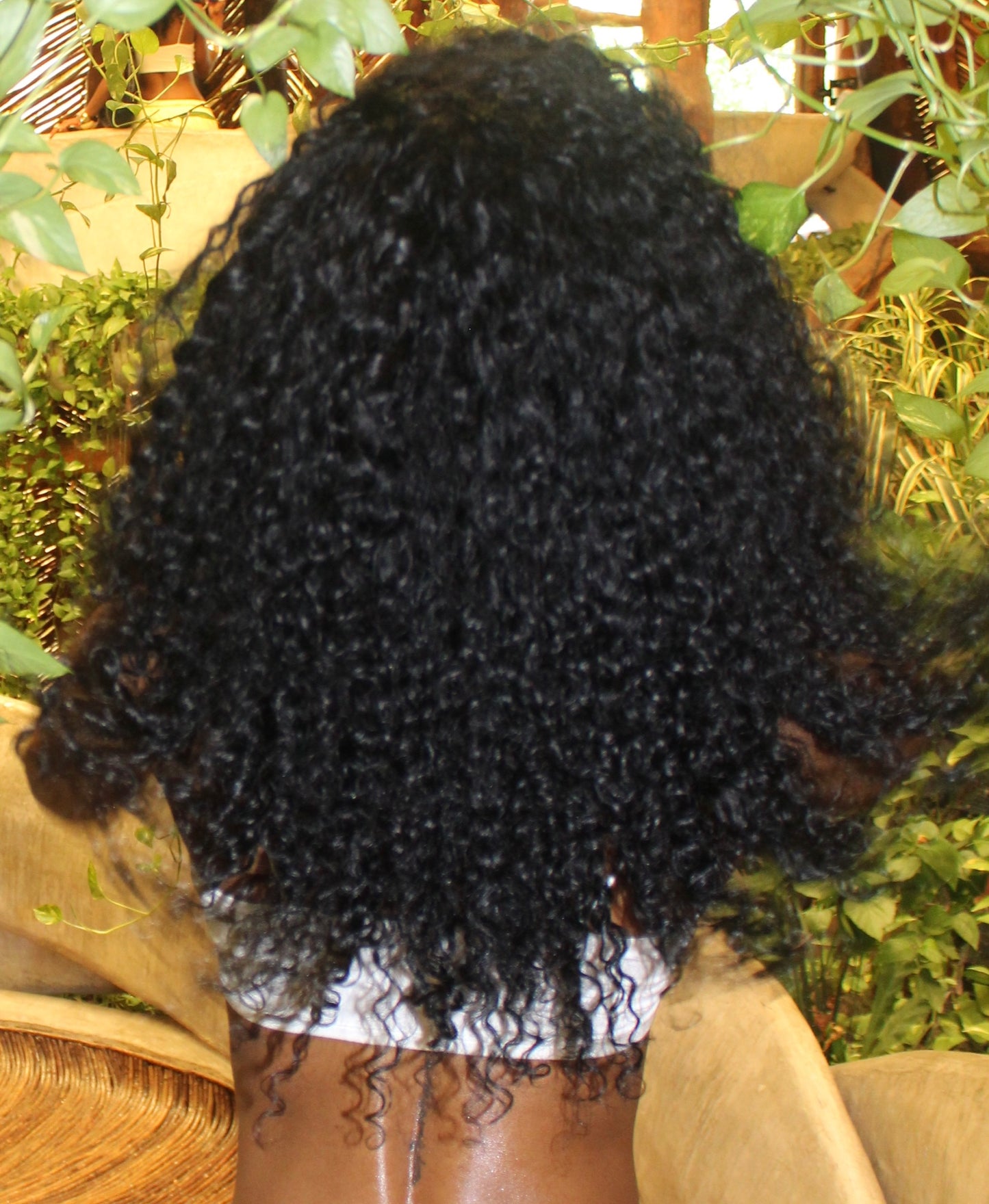 Burmese Curly